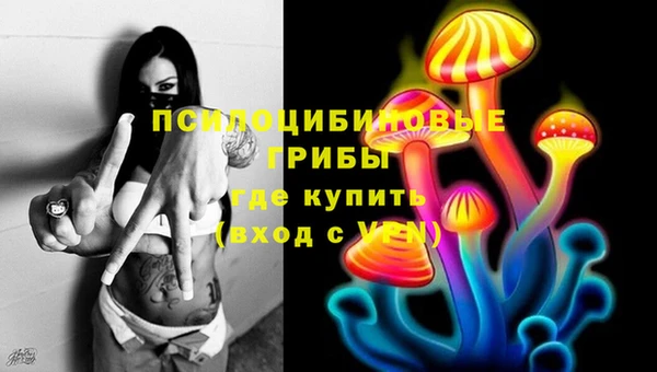 2c-b Тавда