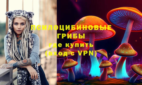 спайс Арсеньев