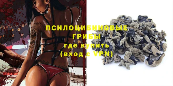 спайс Арсеньев