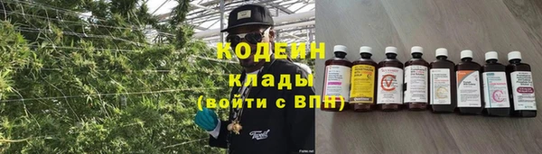 спайс Арсеньев